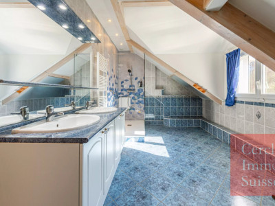 Maison familiale avec piscine, proche Genève ? Idéale frontaliers ? Saint-Martin-Bellevue (74370) image 13