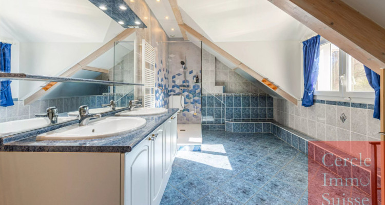 Maison familiale avec piscine, proche Genève ? Idéale frontaliers ? Saint-Martin-Bellevue (74370) image 13