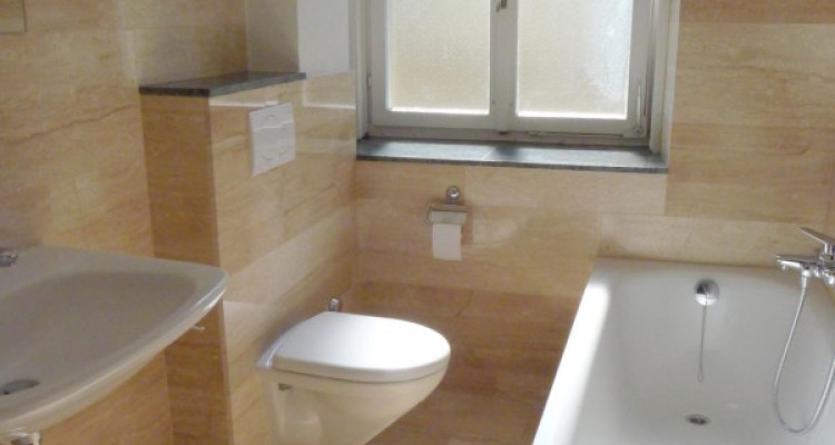 Appartement lumineux en centre-ville image 7