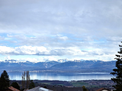 Opportunité à saisir: Beautiful Lake Villa, Arzier-Le - Muids image 1