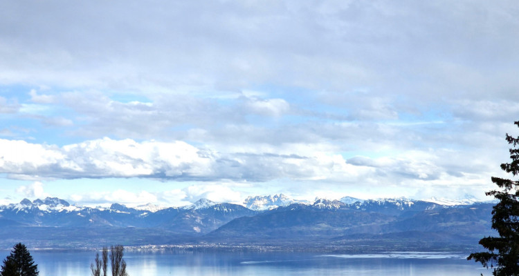 Opportunité à saisir: Beautiful Lake Villa, Arzier-Le - Muids image 1