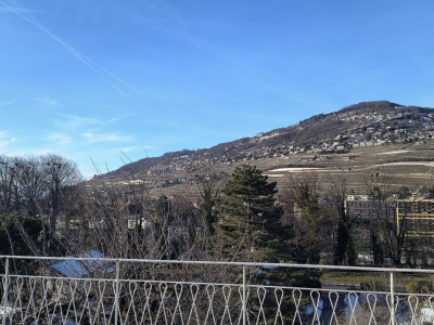 Maison familiale avec appartement 2.5 pièces indépendant image 11