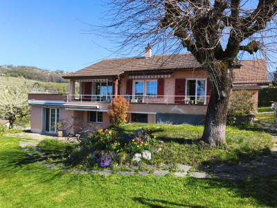 Maison familiale avec appartement 2.5 pièces indépendant image 1