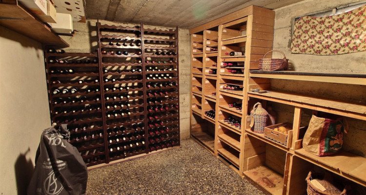 Belle et grande maison en viager occupé sans rente. image 11