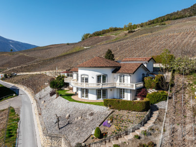 Villa d?exception | Vue panoramique | Exposition idéale | 3 logements image 1