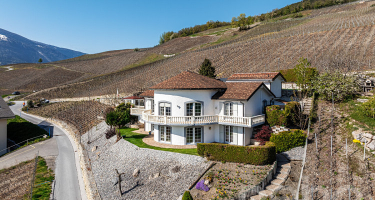 Villa d?exception | Vue panoramique | Exposition idéale | 3 logements image 1