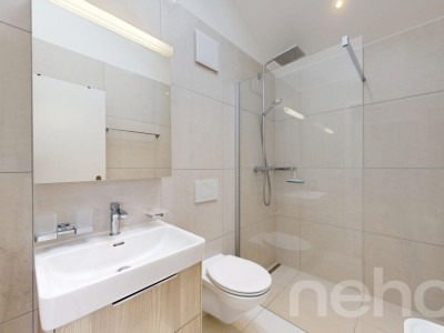 Entre modernité et sérénité, votre future maison à Broc image 10