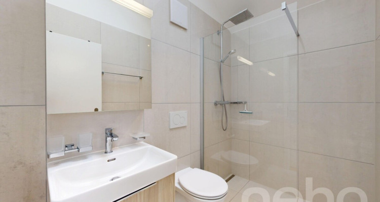 Entre modernité et sérénité, votre future maison à Broc image 10