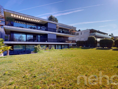 Grosszügige Terrassenwohnung direkt an der Limmat image 12