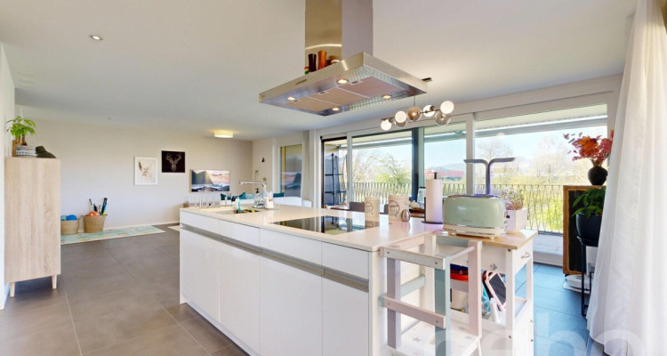 Grosszügige Terrassenwohnung direkt an der Limmat image 4