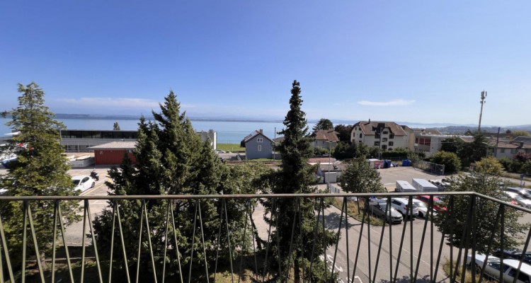 Appartement lumineux avec panorama exceptionnel sur le lac et les Alpes image 1