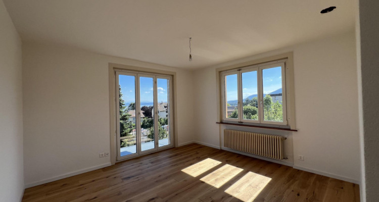 Appartement lumineux avec panorama exceptionnel sur le lac et les Alpes image 3