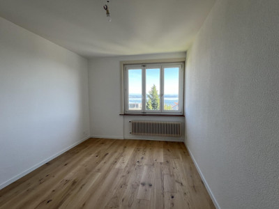 Confort, lumière et vue panoramique sur le lac et les Alpes image 6