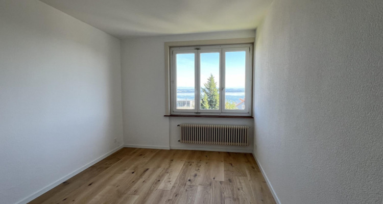 Confort, lumière et vue panoramique sur le lac et les Alpes image 6