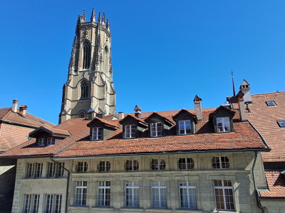 A vendre au coeur de la Vieille Ville de Fribourg un magnifique attique image 16