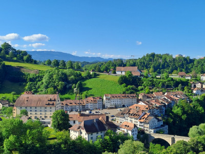 A vendre au cœur de la Vieille Ville de Fribourg un magnifique attique image 10