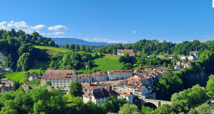 A vendre au cœur de la Vieille Ville de Fribourg un magnifique attique image 10