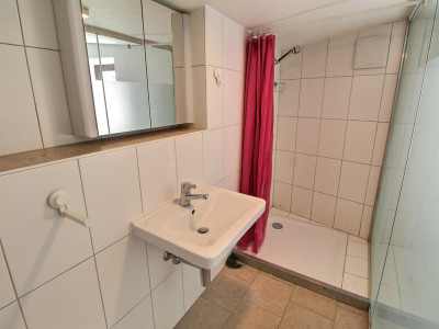 Grande maison en viager semi-occupé sans rente avec grand potentiel image 8