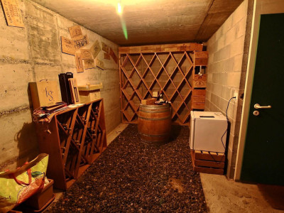 Très jolie maison familiale en viager occupé sans rente limité à 10 ans image 10