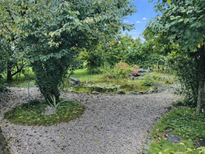 Très grande maison familiale en viager occupé sans rente image 6