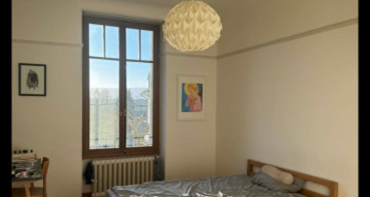 Appartement de 6 pieces élégant, lumineux à Champel image 3