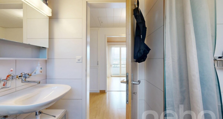 Charmantes 4.5-Zimmerhaus mit Weitsicht und grosser Parzelle image 8