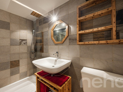 Havre de paix à Trétien (Salvan) image 11