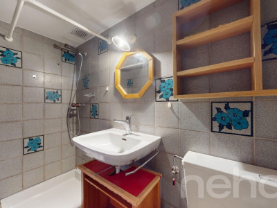 Havre de paix à Trétien (Salvan) image 12