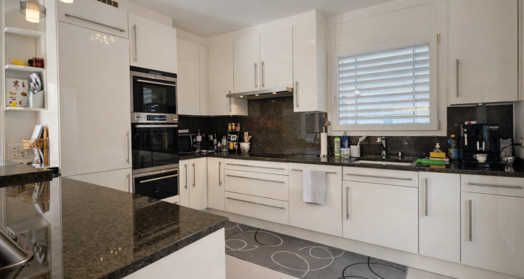 Superbe maison individuelle lumineuse avec jardin arboré, jacuzzi et double garage image 6