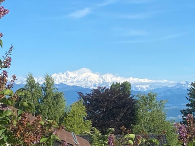 En exclusivité:Très belle Maison familiale au coeur du Village dArzier-Le-Muids image 3