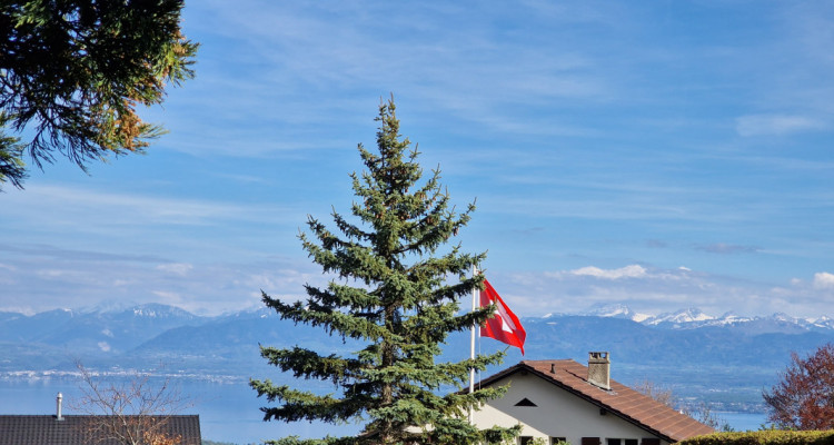 En exclusivité:Très belle Maison familiale au coeur du Village dArzier-Le-Muids image 6