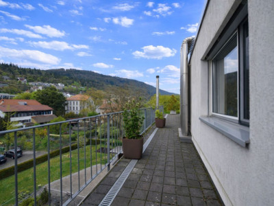 Sublime attique traversant image 10