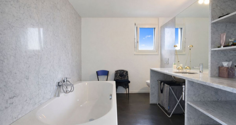 Sublime attique traversant image 6