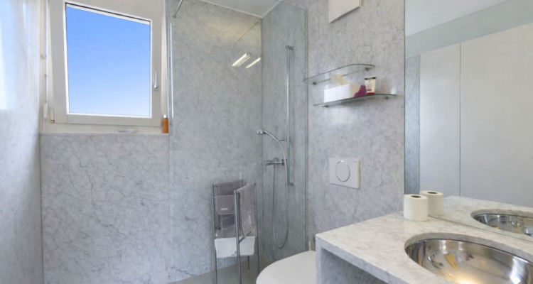 Sublime attique traversant image 7