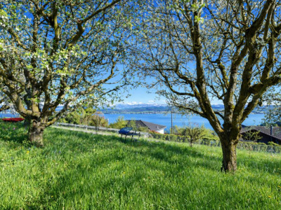 Maison sur vaste parcelle de 1303 m² - Fort potentiel de développement image 4