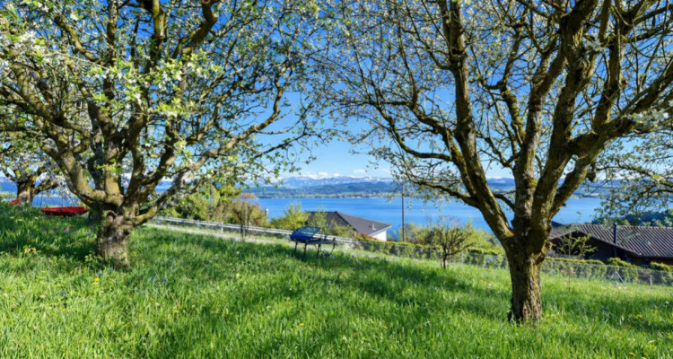 Maison sur vaste parcelle de 1303 m² - Fort potentiel de développement image 4