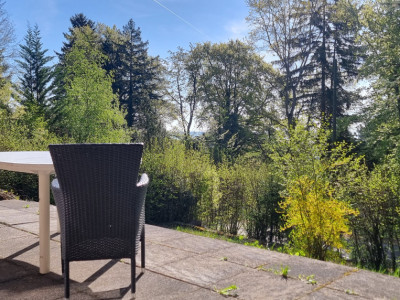 Bassins – Construisez votre rêve image 3