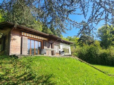 Bassins – Construisez votre rêve image 2