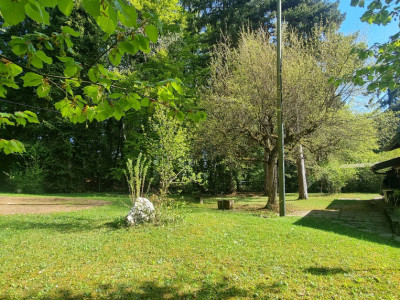 Bassins – Construisez votre rêve image 1