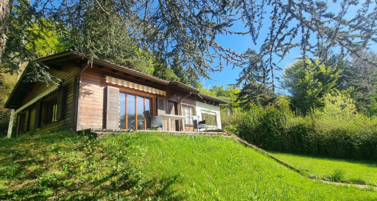 Bassins – Construisez votre rêve image 2