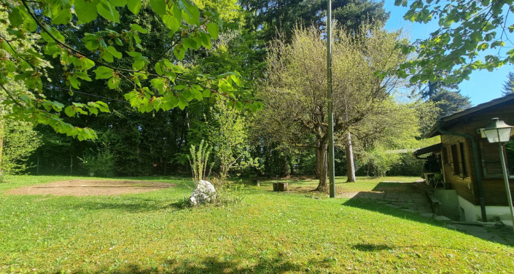 Bassins – Construisez votre rêve image 1