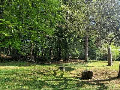 Bassins – Chalet au cœur de la nature image 7