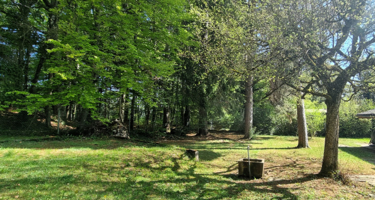 Bassins – Chalet au cœur de la nature image 7