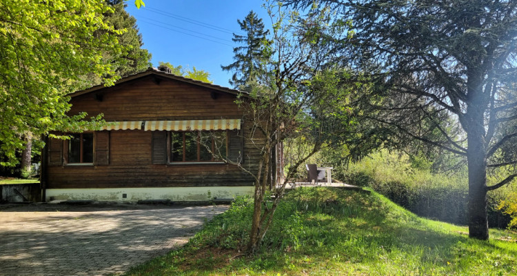 Bassins – Chalet au cœur de la nature image 1