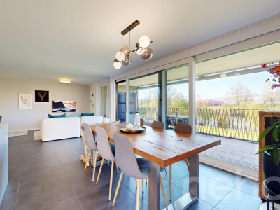 Grosszügige Terrassenwohnung direkt an der Limmat image 5