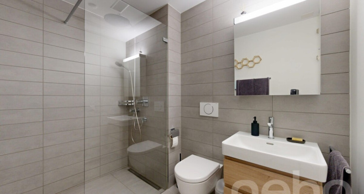 Grosszügige Terrassenwohnung direkt an der Limmat image 9