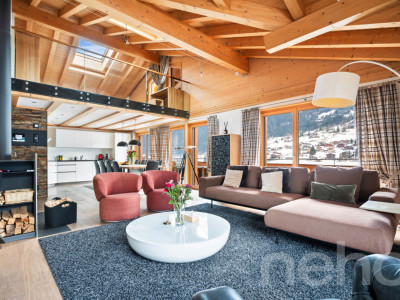 Duplex d?exception face à l?Eiger Express image 1