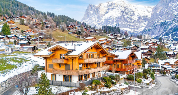 Duplex d?exception face à l?Eiger Express image 3