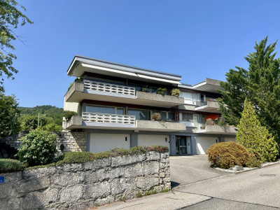 Au milieu des vignes image 2