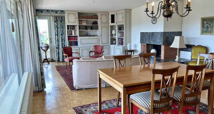 Au milieu des vignes image 3